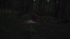 vlcsnap-2025-09-15-08h53m29s590.png