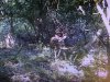 IMG_6260(1).JPEG