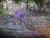 IMG_6261.JPEG