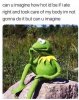IMG_4525.jpeg