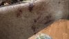 upload_2025-9-18_15-18-15.jpeg