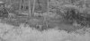 Screenshot_20250919_081342_Gallery.jpg