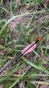IMG_1277.jpeg