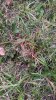 IMG_1278.jpeg