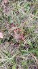IMG_1279.jpeg