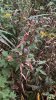 IMG_1280.jpeg