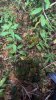 IMG_1282.jpeg