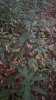 IMG_1283.jpeg