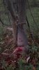 IMG_1285.jpeg
