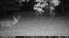 IMG_0990.jpeg