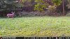 IMG_0969.jpeg