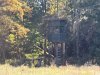 IMG_9705.jpeg
