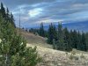 IMG_2960.jpeg