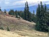IMG_2961.jpeg