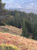 IMG_2964.jpeg