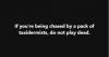 upload_2025-9-23_21-3-14.png