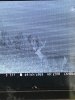 IMG_2719.jpeg