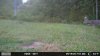 IMG_5005.jpeg