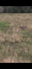 IMG_5805.png