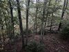 IMG_3339.jpeg