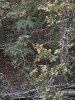 upload_2025-9-27_19-4-6.jpeg