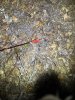 upload_2025-9-27_21-8-39.jpeg