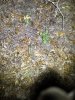 upload_2025-9-27_21-9-7.jpeg
