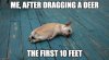 IMG_4666.jpeg