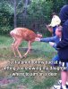 IMG_4667.jpeg