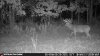 IMG_1065.jpeg