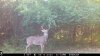 IMG_2646.jpeg