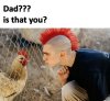 IMG_4686.jpeg