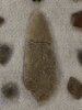 IMG_3348.jpeg
