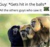 IMG_4704.jpeg