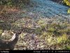IMG_2642.jpeg