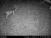 IMG_2666.jpeg