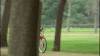 OG8aLd.gif