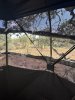 IMG_1005.jpeg