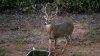 DSC_1087-2.jpg