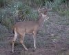 DSC_1144-2.jpg