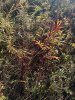 IMG_0872.jpeg