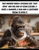 IMG_4741.jpeg