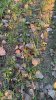 IMG_1312.jpeg