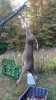 IMG_1318.jpeg