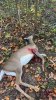 IMG_1321.jpeg