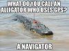 IMG_4762.jpeg