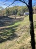 IMG_3376.jpeg