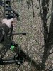 IMG_6087.jpeg