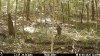 image_processing20251009-8730-w73pmt.jpg