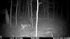 image_processing20251006-8720-srnhv5.jpg